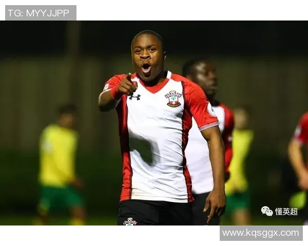 努涅斯的崛起与挑战：从新星到顶级前锋的奋斗历程解析