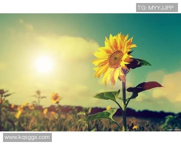 李晓旭的奋斗故事：从平凡到卓越的成长之路与人生启示